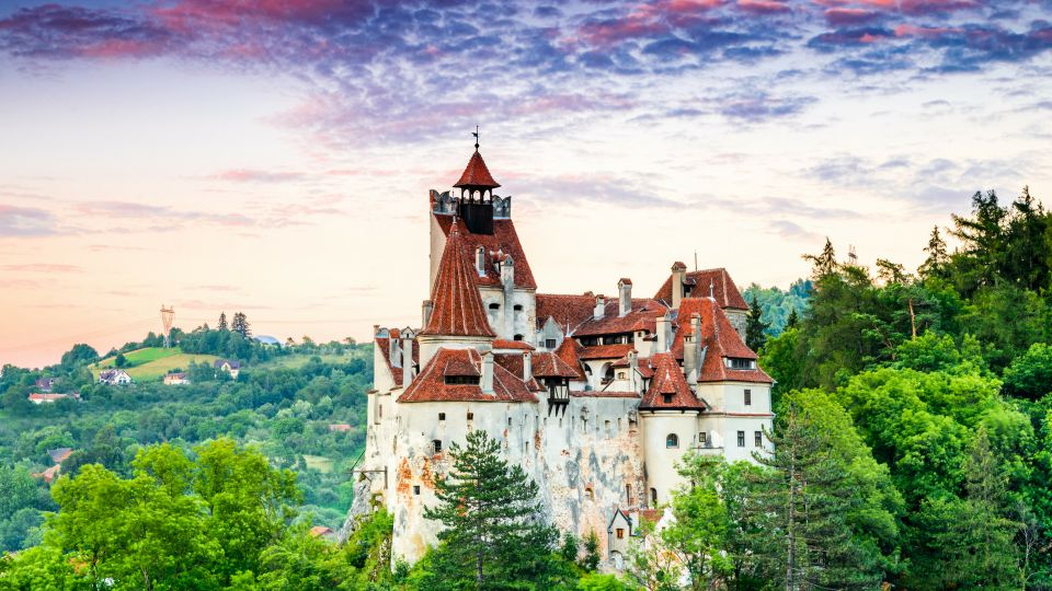 Bucharest: Dracula's Castle, Peles Castle, & Brasov Old Town - Tour Logistics & Insider Tips