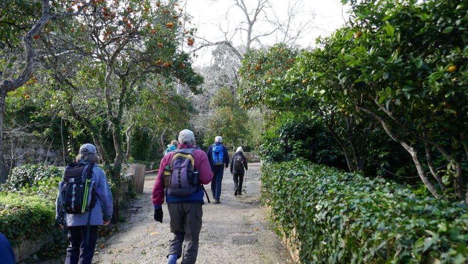 Buskett Woodlands and Dingli Cliffs Private Nature Tour - Recommendations