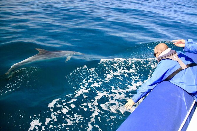 Byron Bay Dolphin Tour - Ocean Safari - Common questions