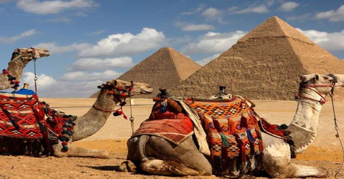 Cairo: Giza Pyramids Tour With Camel Ride and Tickets - Customer Feedback