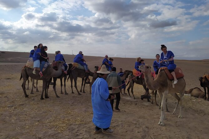 Camel Ride at the Palm Groves in Marrakech - Stellar Reviews and Feedback