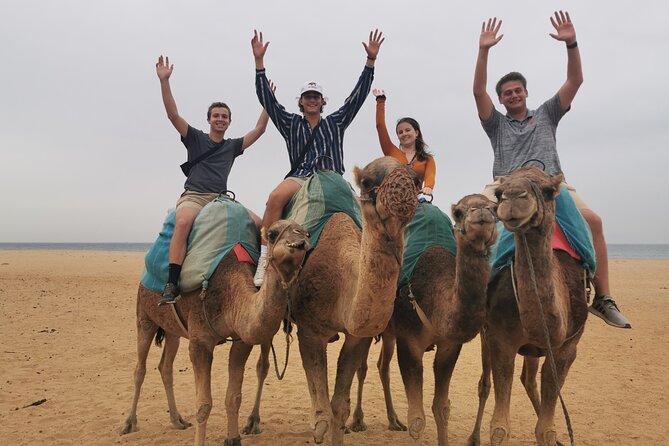 Camel Ride in Tanger - Host Responses and Guest Appreciation