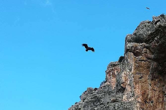 Caminito Del Rey Trekking Walkway - Meeting Point and End Point