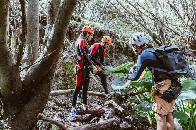 Canyoning With Waterfalls in the Rainforest - Small Groups ツ - Common questions