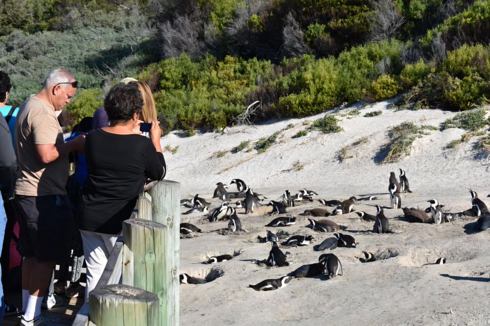 Cape Town: Cape of Good Hope and Penguins Full-Day Tour - Cape Towns Coastline Exploration