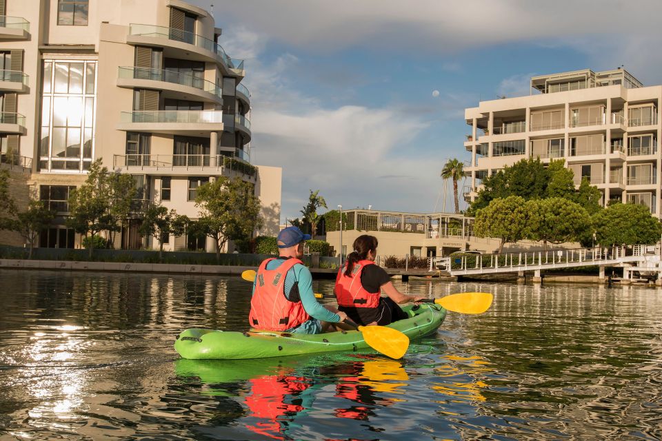 Cape Town: Day or Night Guided Kayak Tour in Battery Park - Last Words