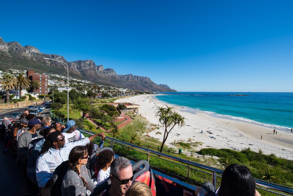 Cape Town: Hop-On Hop-Off Bus Tour With Optional Cruise - Transportation Tips