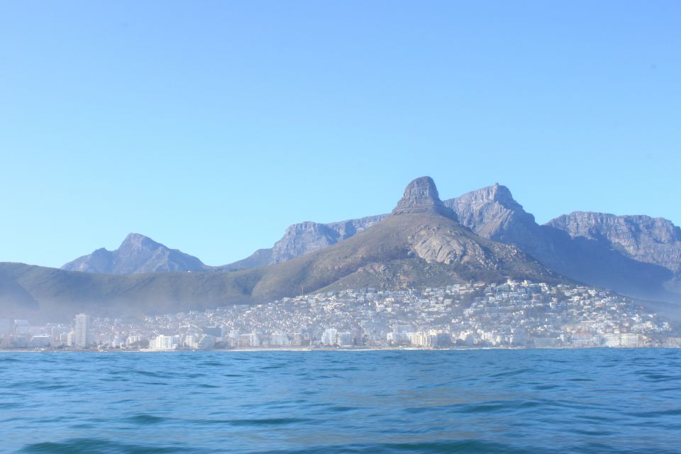 Cape Town: Marine Big 5 Ocean Safari From V&A Waterfront - Directions for Booking