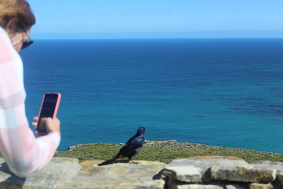 Cape Town : Table Mountain Cape Point Boulders' Penguins - Directions