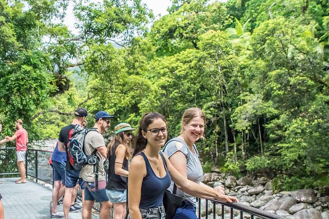 Cape Tribulation, Mossman Gorge, and Daintree Rainforest Day Trip - Feedback on Tour Guides