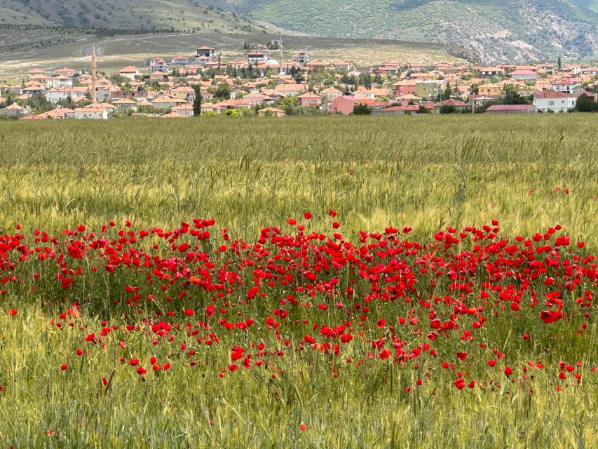 Cappadocia Private/Shared Green Tour (Ticket, Lunch Incl) - Customer Reviews and Operational Details