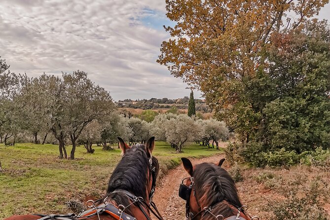 Carriage Rides, Pays De Sommières - Pricing and Additional Details