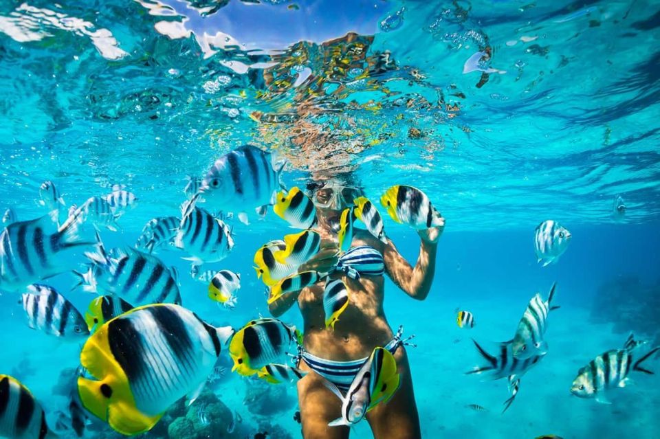 Catalina Island Full-Day Snorkeling Lunch From Punta Cana - Free Cancellation and Payment Options