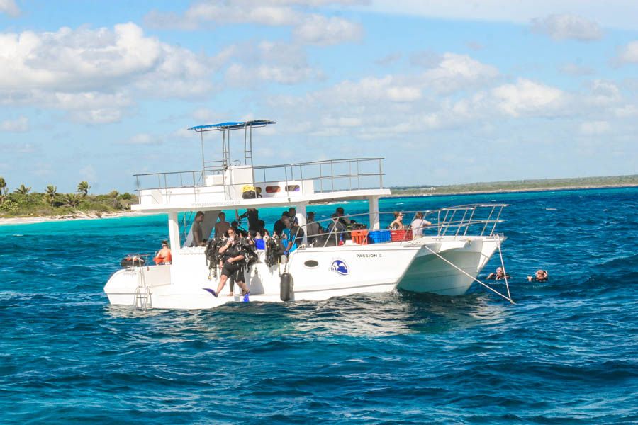 Catalina Island Scuba Diving Tour From Punta Cana - Accessibility and Language Options
