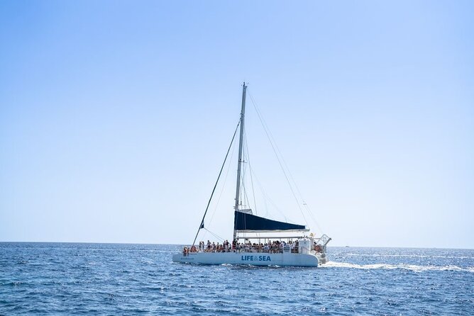 Catamaran With BBQ in the Bay of Palma - Sailing in the Bay of Palma