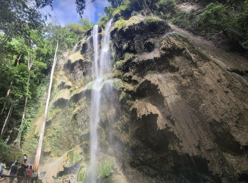 Cebu: Whale Shark & Mysterious Waterfall Private Tour - Additional Details