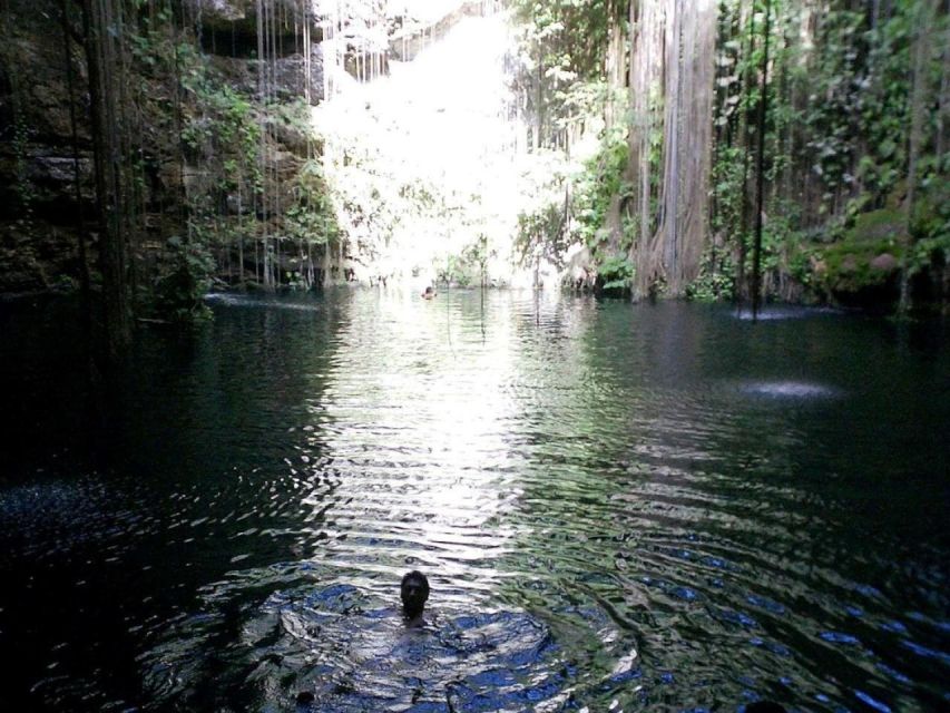 Cenote Tulum Tour: Snorkel in a Lagoon and Discover Caverns - Booking & Pricing Information