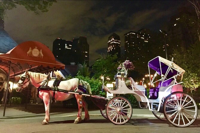 Central Park and NYC Horse Carriage Ride OFFICIAL ( ELITE Private) Since 1970 - Central Park Horse Carriage Ride