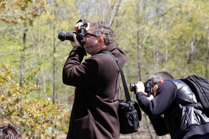 Central Park Photography Tour With Local Photographer - Access to Traveler Photos