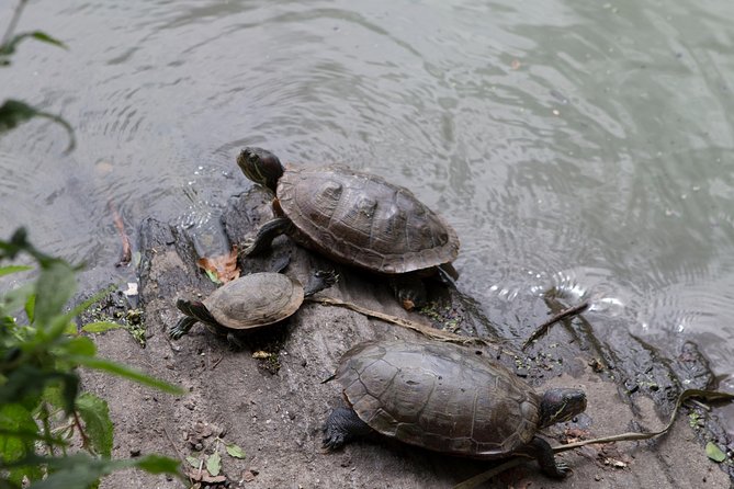 Central Park Walking Tour - Common questions