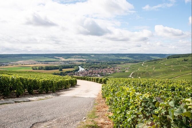 Champagne Small-Group Tour With Tastings and Lunch From Epernay - Additional Information Provided