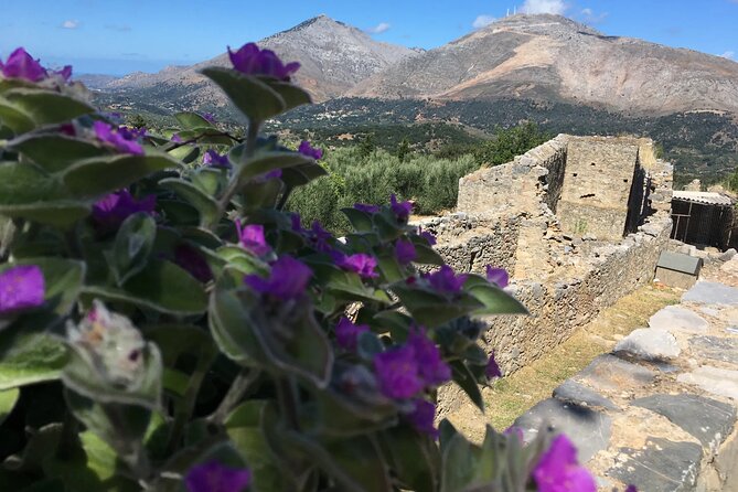 Chania White Mountains Private Tour: From Sea to Summit! - Common questions