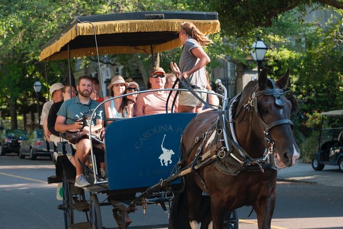 Charleston Horse & Carriage Historic Sightseeing Tour - Directions