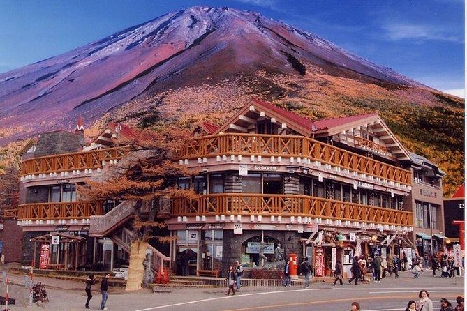 Cherry Blossom ! Five-Story Pagoda,Mt. Fuji 5th Station,Panoramic Ropeway - Must-See Spots