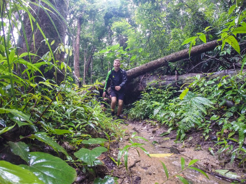 Chiang Mai: 6-Hour Doi Pui National Park Summit Hike - Common questions