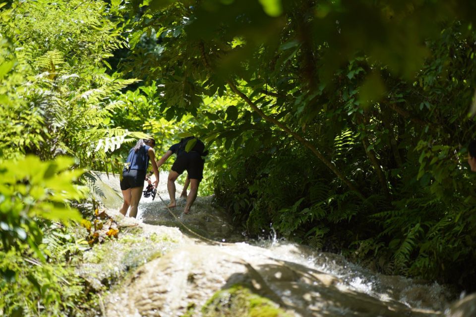 Chiang Mai: Bua Thong Sticky Waterfall and Huge Cave Tour - Review Summary