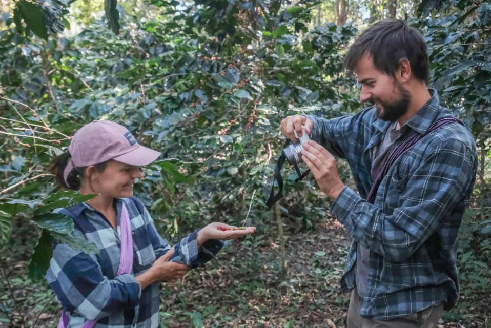 Chiang Mai Coffee Farm : 4WD, Treks, DIY Roasting & Brewing. - Common questions