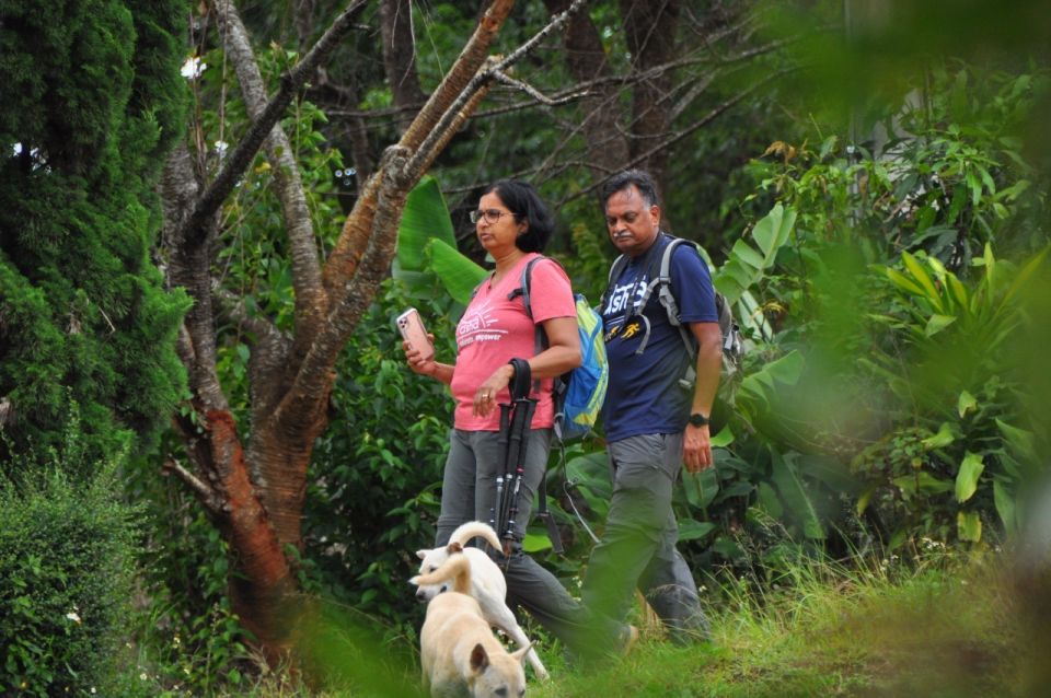 Chiang Mai: Doi Inthanon Highlights and Hiking Private Tour - Tour Guide Experience