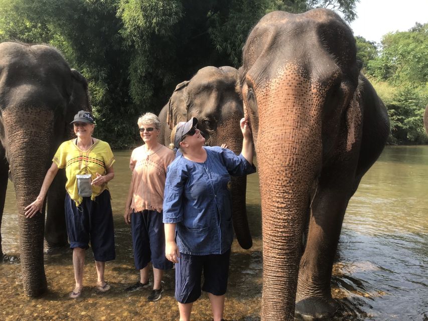 Chiang Mai: Elephant Sanctuary and Sticky Waterfall Tour - Elephant Sanctuary Experience