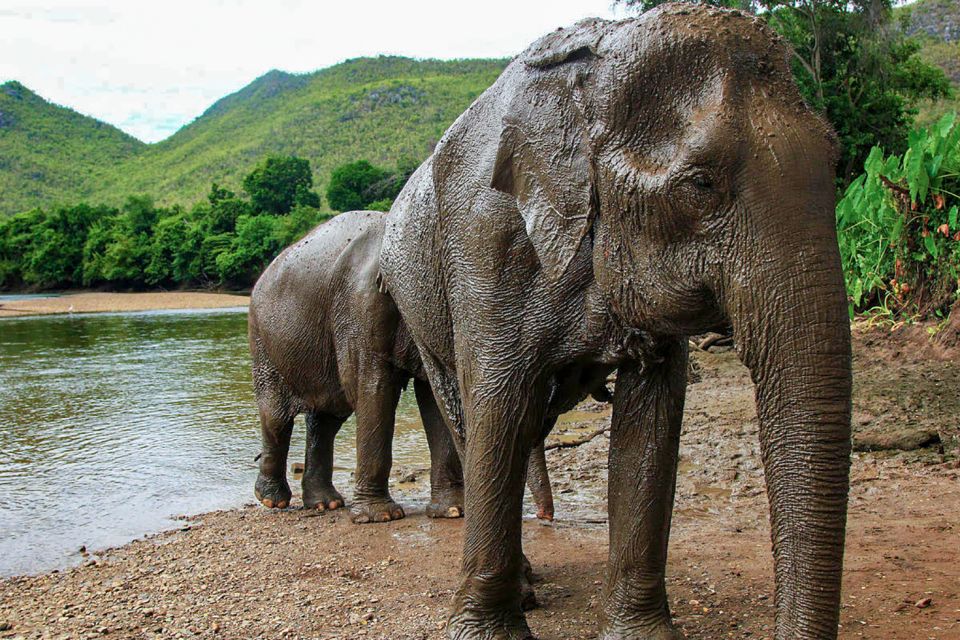 Chiang Mai: Elephant Sanctuary Guided Tour - Location and Product ID