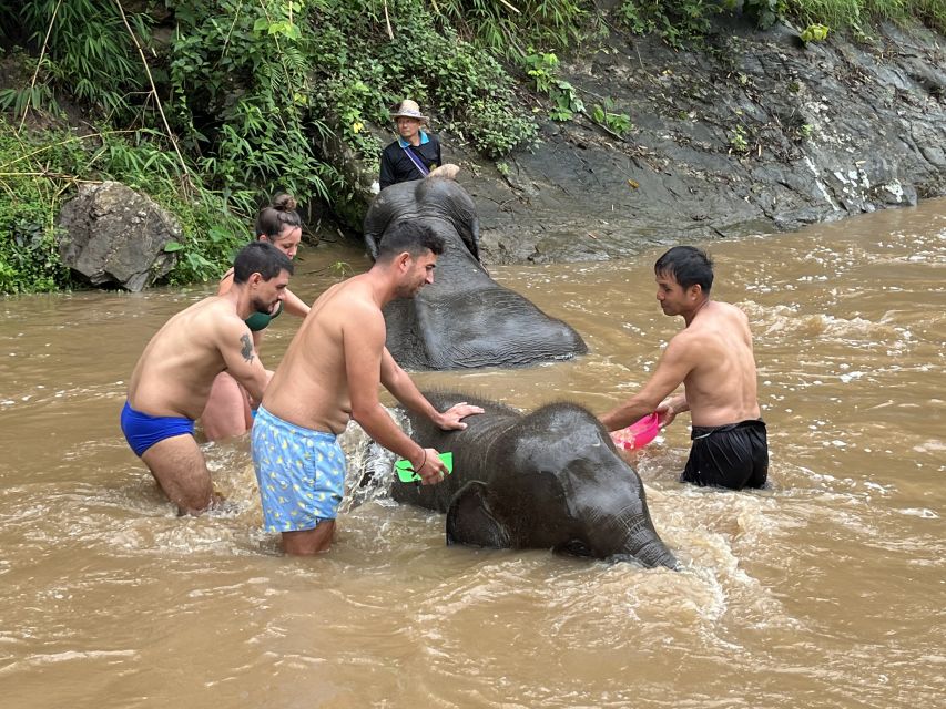 Chiang Mai: Elephant Sanctuary & Waterfall Group Tour - Reservation & Payment Options