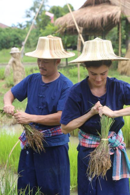 Chiang Mai: Thai Buffalo and Rice Planting Experience - Directions