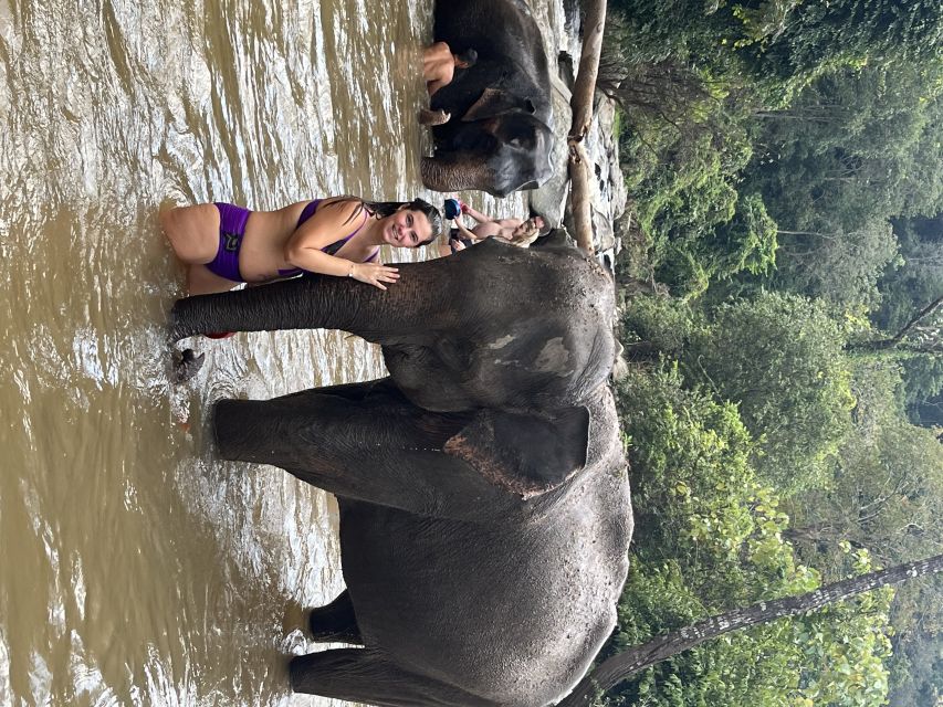 Chiang Mai: Waterfall, Elephant Sanctuary, and Rafting Tour - Free Cancellation Policy