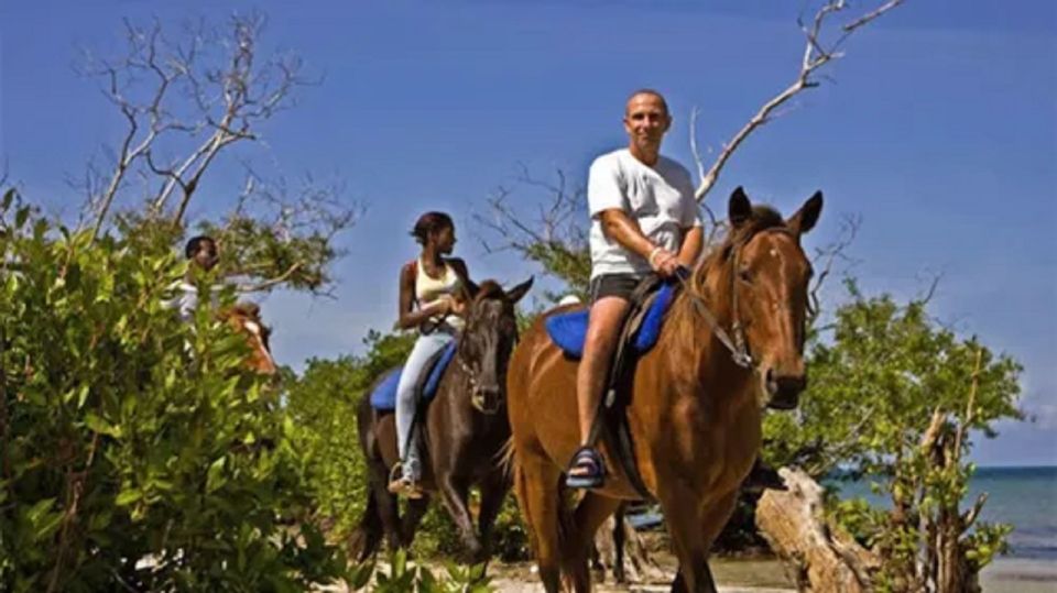 Chukka Horseback Ride & Swim From Montego Bay - Last Words