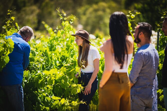 Cider, Wine & Whiskey Tour: Small Group Full-Day Tour From Perth - Customer Support Services