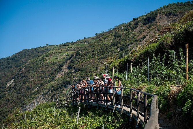 Cinque Terre Day Trip From Florence With Optional Hiking - Common questions