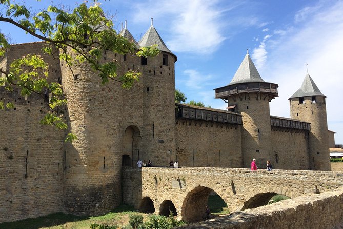 Cité De Carcassonne and Wine Tasting Private Day Tour From Toulouse - Price and Booking Details