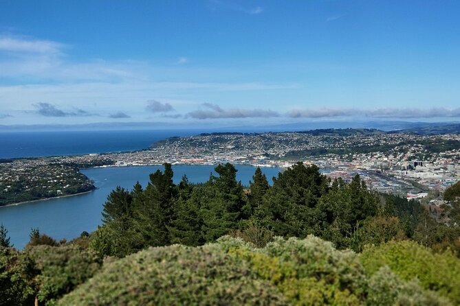 City Highlights, Larnach Castle & Peninsula Views - Directions and Itinerary