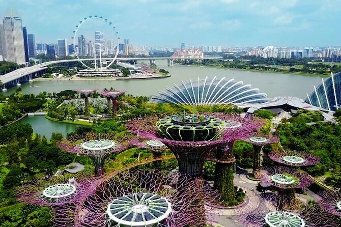 City TourGardens by the Bay(FlowerDome&CloudForest)Transfers - Last Words