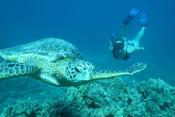 Clear Kayak and Snorkel Tour at Turtle Town, Makena - Meeting Point and Start Time
