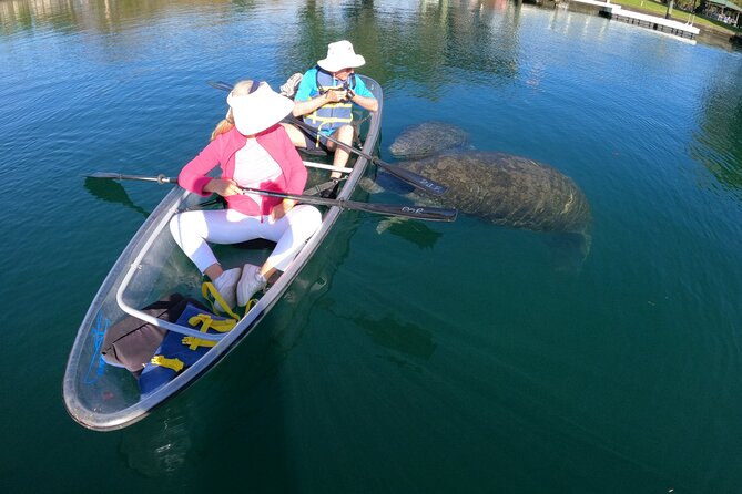 Clear Kayak Manatee Ecotour of Crystal River - Common questions