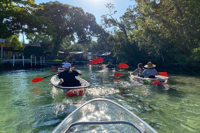 Clear Kayak Tours in Weeki Wachee - Communication and Guest Accommodations
