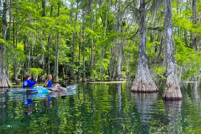 Clear Kayaking Eco Adventure Tour in Marianna - Scenic Features