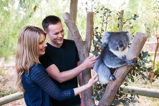 Cleland Wildlife Park Experience - From Adelaide Including Mt Lofty Summit - Health and Safety Features