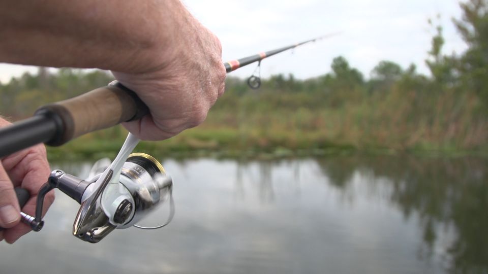 Clermont: Trophy Bass Fishing Experience With Expert Guide - Last Words