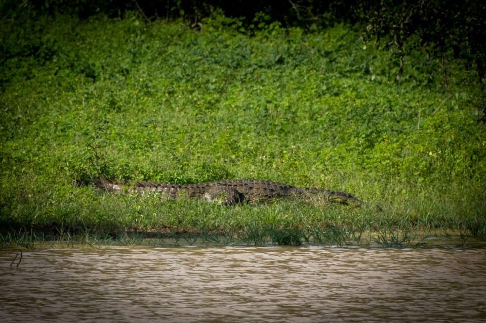 Colombo: Minneriya & Kaudulla National Park Jeep Safari Trip - Safari Vehicle Exploration